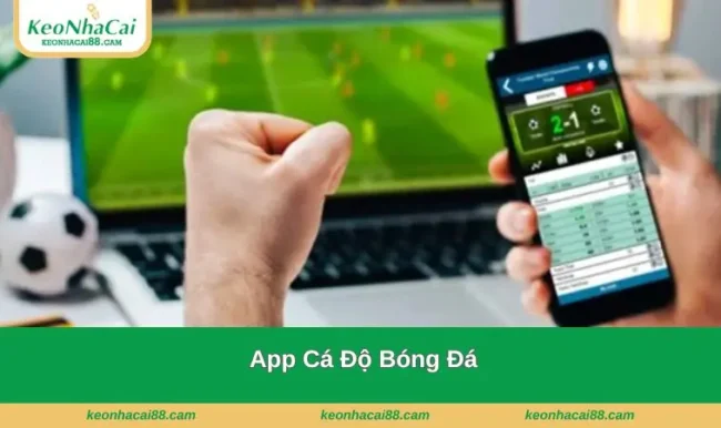 app ca do bong da