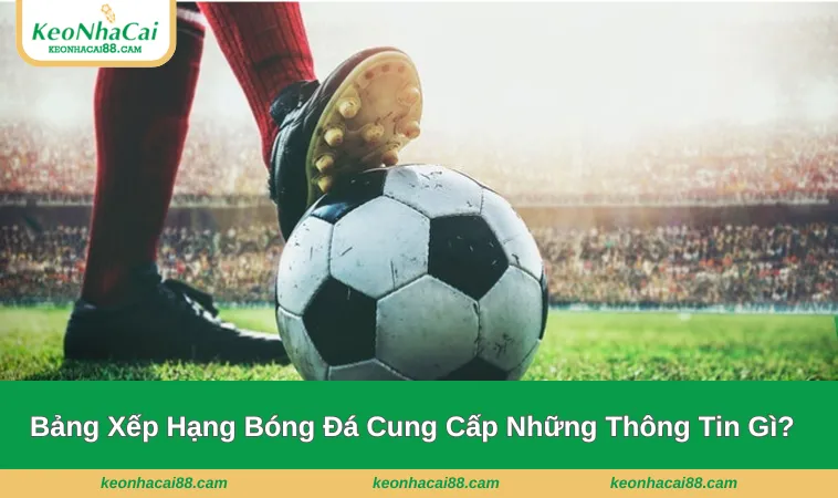 bang xep hang 3 Những thông tin có thể tìm thấy ở bảng kết quả