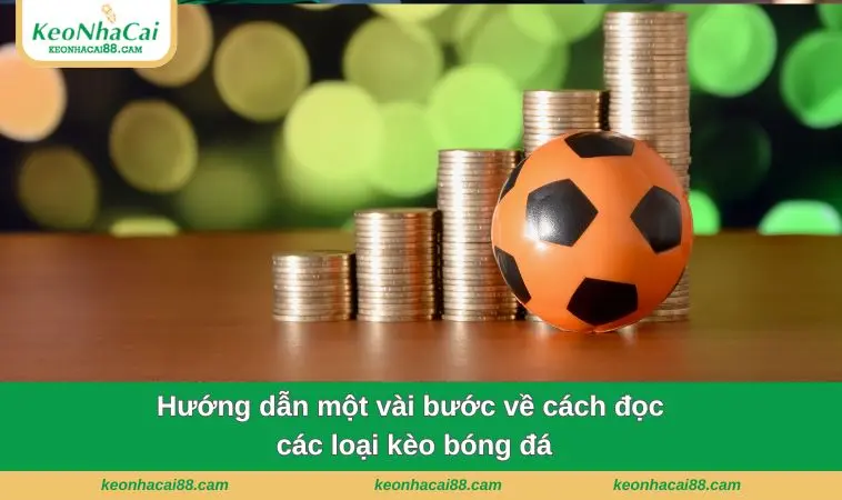 Hướng dẫn một vài bước về cách đọc các loại kèo bóng đá