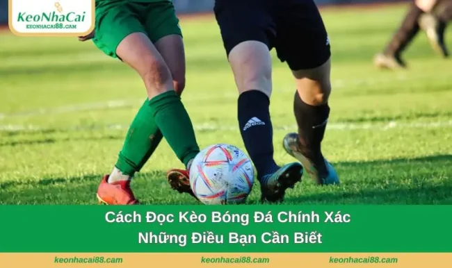 Cách đọc kèo bóng đá