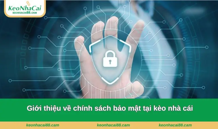 Giới thiệu về chính sách bảo mật tại kèo nhà cái