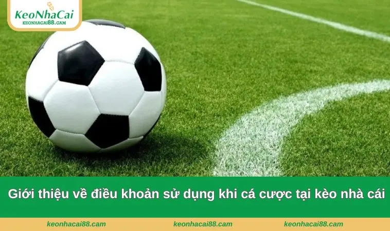 Giới thiệu về điều khoản sử dụng khi cá cược tại kèo nhà cái