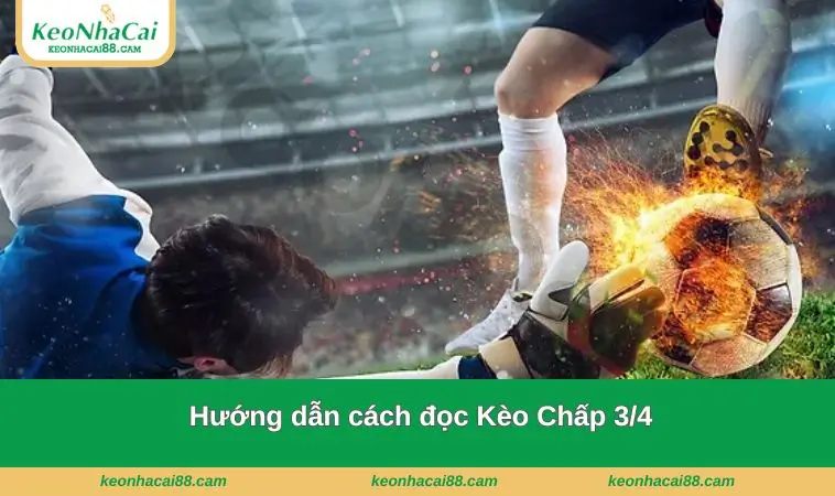 Hướng dẫn đọc kèo này