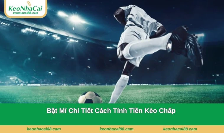 Chi tiết cách tính tiền kèo chấp cực đơn giản cho người mới