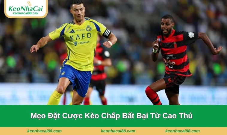 Hội viên cũng cần phải ghi nhớ những mẹo đặt cược đỉnh cao phía trên