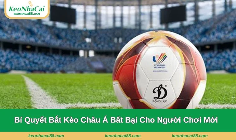 Khi chơi kèo châu Á nếu cược theo cảm tính thì khả năng chiến thắng sẽ rất nhỏ