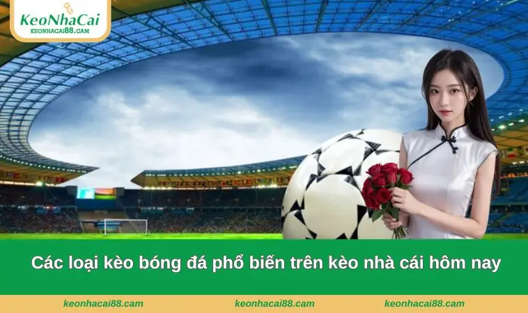 Các loại kèo bóng đá phổ biến trên kèo nhà cái hôm nay