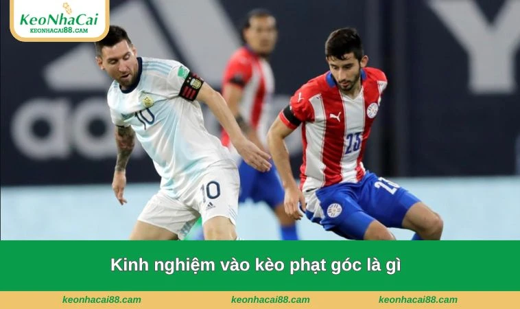 Sử dụng nguồn tiền hợp lý giúp nhận về lợi nhuận khủng &  hạn chế rủi ro