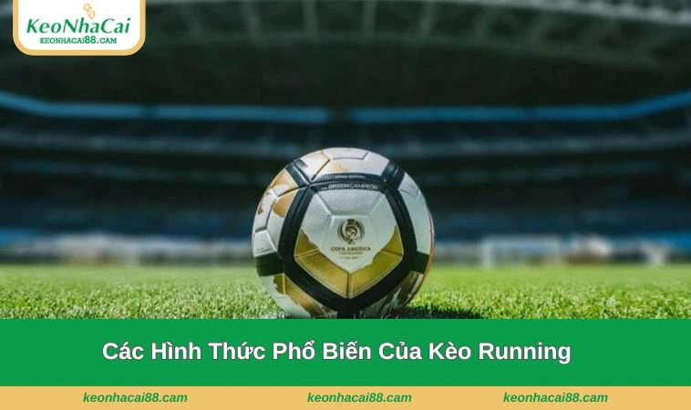 Những lựa chọn phong phú khi trải nghiệm kèo running