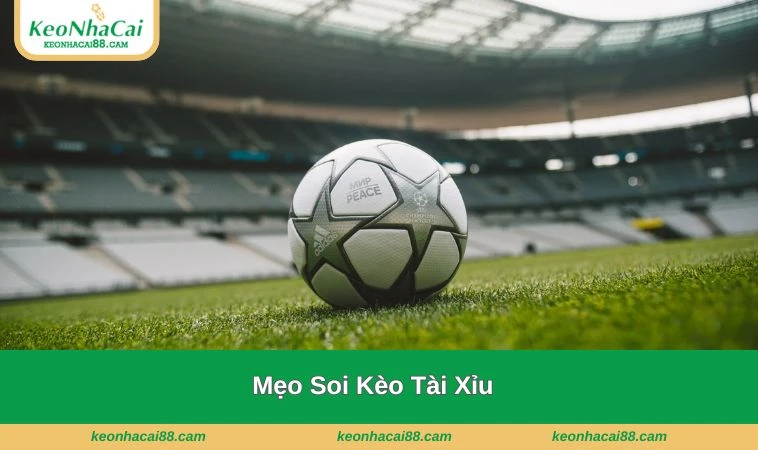 Giúp người chơi hiểu rõ hơn về quyết định của bản thân, tự tin hơn khi xuống tiền