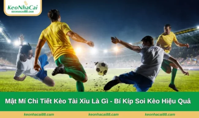 kèo tài xỉu là gì