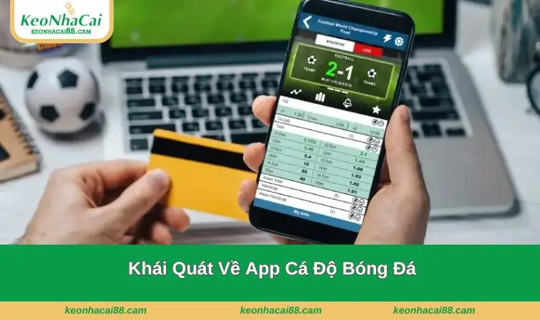 khai quat ve app ca do bong da Khái quát về ứng dụng cá độ