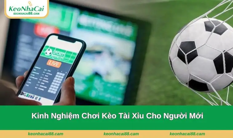 kinh nghiem tham gia choi nguoi moi Kinh nghiệm chơi cho người mới