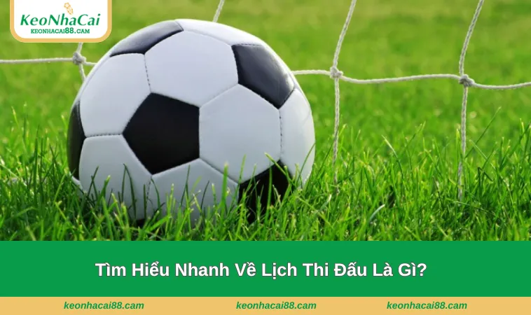 Giới thiệu nhanh chóng về lịch thi đấu