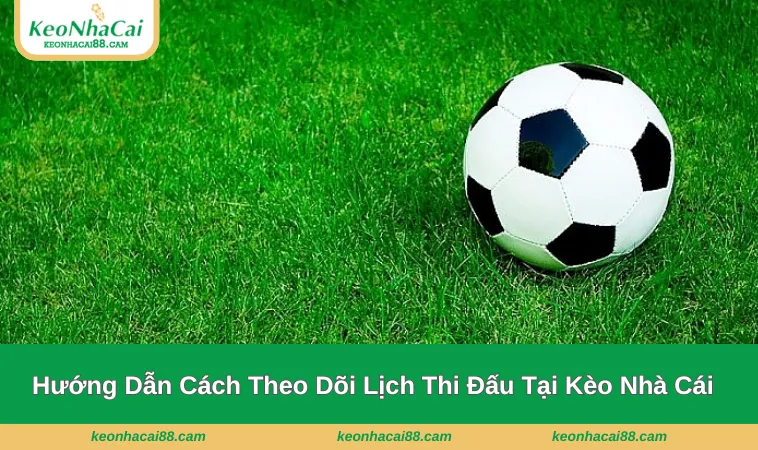 Hướng dẫn hội viên cách theo dõi thời gian thi đấu