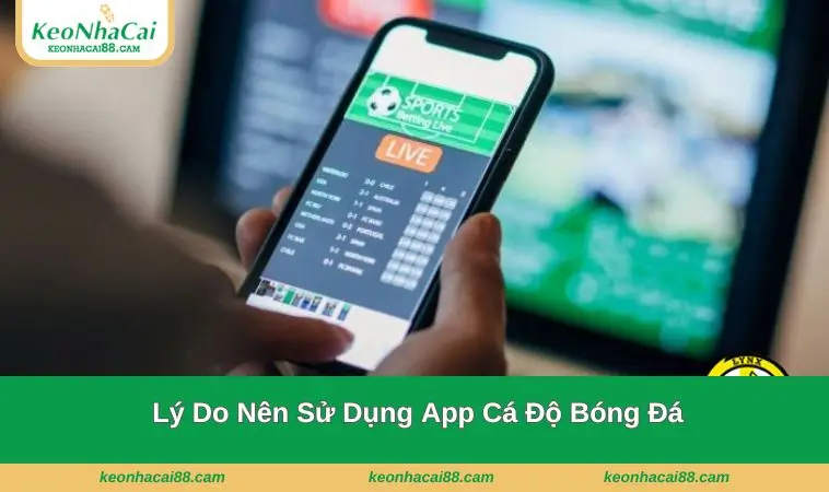 ly do nen su dung app ca do bong da Lý do nên sử dụng ứng dụng