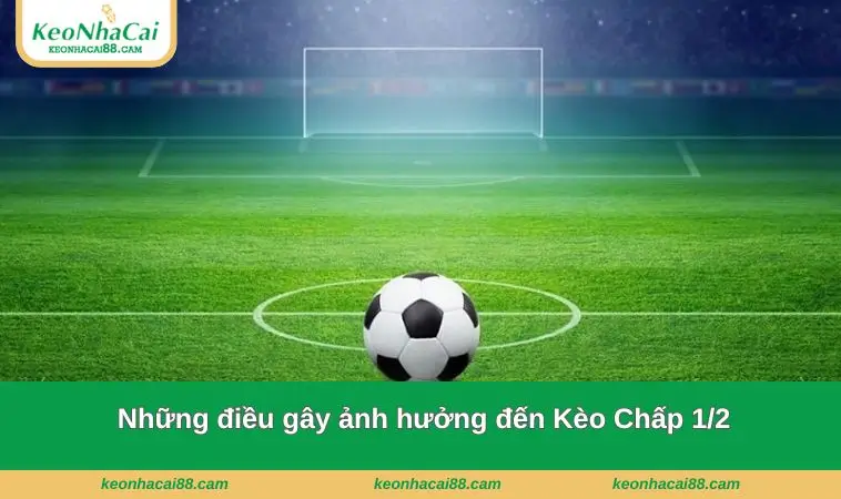 Những điều gây ảnh hưởng đến loại kèo này