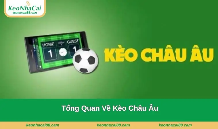 Tổng quan về loại hình này