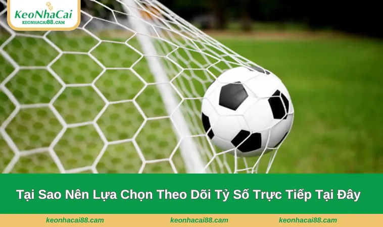 Lý do nên lựa chọn theo dõi tại Kèo Nhà Cái
